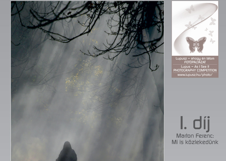 Megjelentek online a legújabb Pillangó magazinok